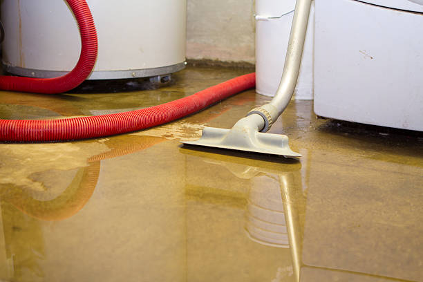 Professional Water damage restoration in Francis, UT